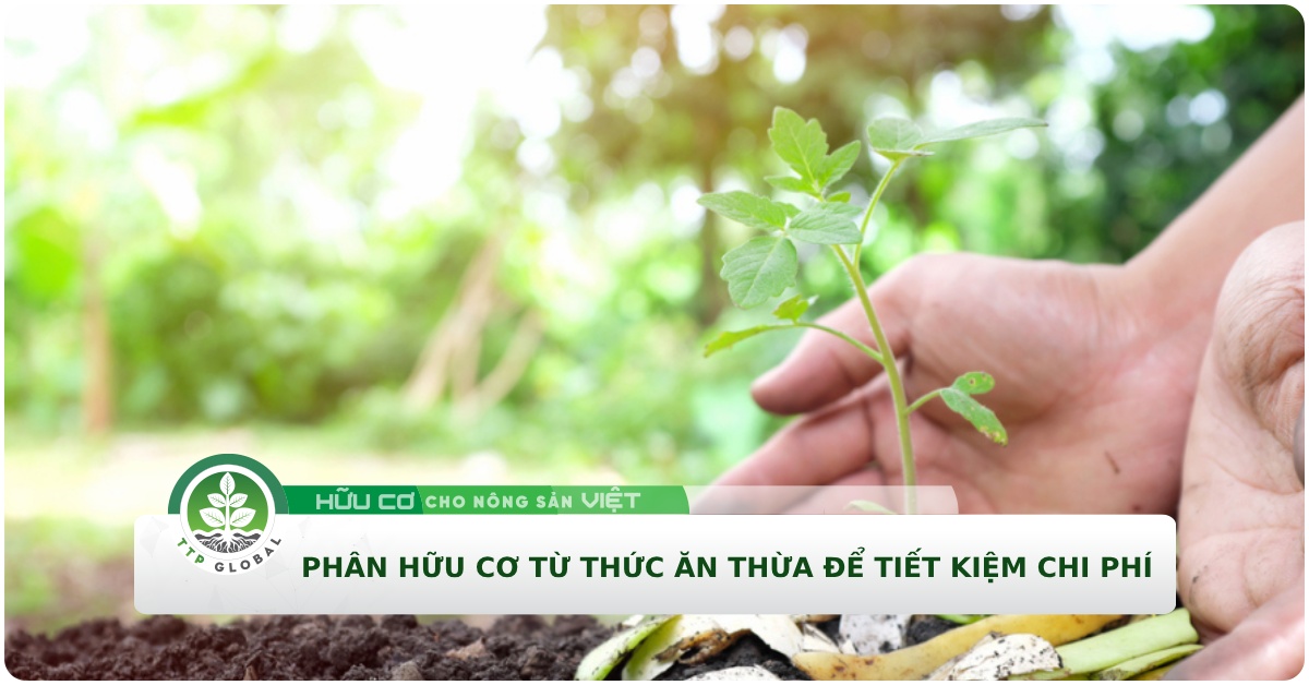 Làm phân bón hữu cơ từ thức ăn thừa