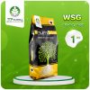 Phân Bón Humic Mỹ WSG
