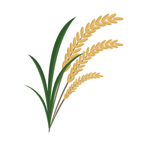 icon-lúa