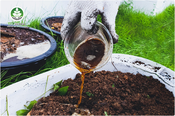 Đạm cá hữu cơ là gì Ưu điểm của đạm cá trong nông nghiệp