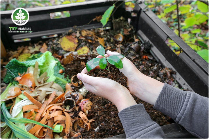 Top 05+ Phân bón hữu cơ tốt nhất hiện nay