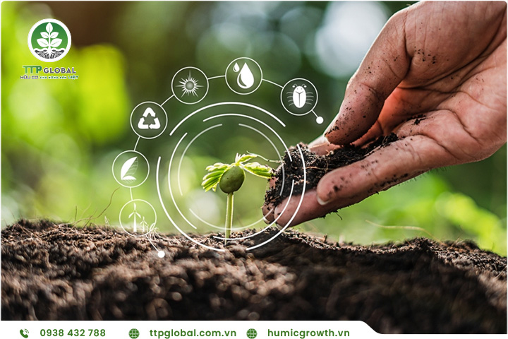 Lợi ích khi sử dụng kết hợp phân bón hữu cơ