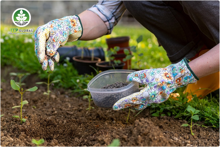 Phân NPK hữu cơ organic có thực sự hiệu quả cho cây trồng