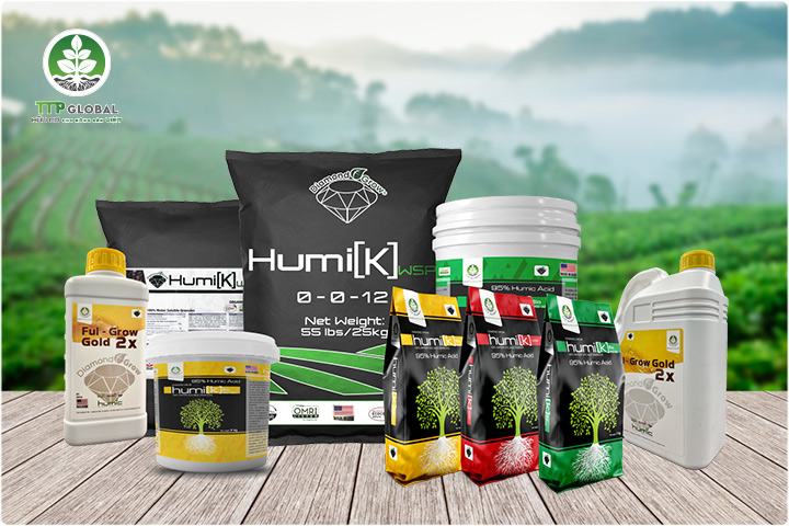 Phân bón hữu cơ Humic - Giải pháp tối ưu cho đất bạc màu, thoái hóa