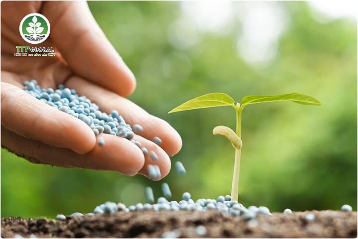 Ưu và nhược điểm của phân NPK hữu cơ vi sinh