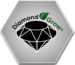 Diamond Grow