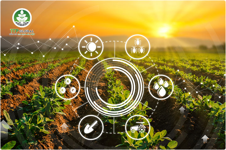 Những lưu ý khi sử dụng phân hữu cơ sinh học