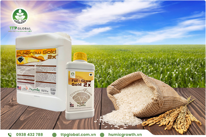 Phân bón hữu cơ dạng lỏng top 01 thị trường