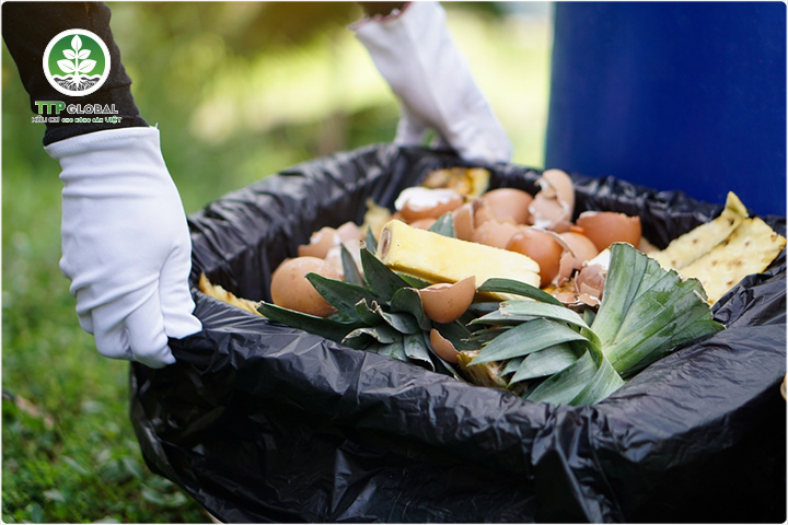 Quy trình làm phân hữu cơ tại nhà siêu tiết kiệm