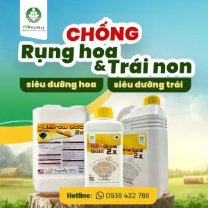 chống rụng hoa và trái non