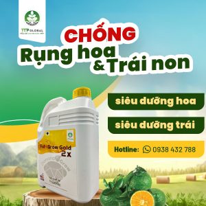 chống rụng hoa và trái non