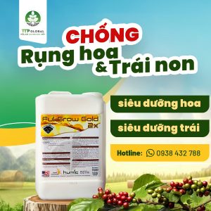 chống rụng hoa và trái non