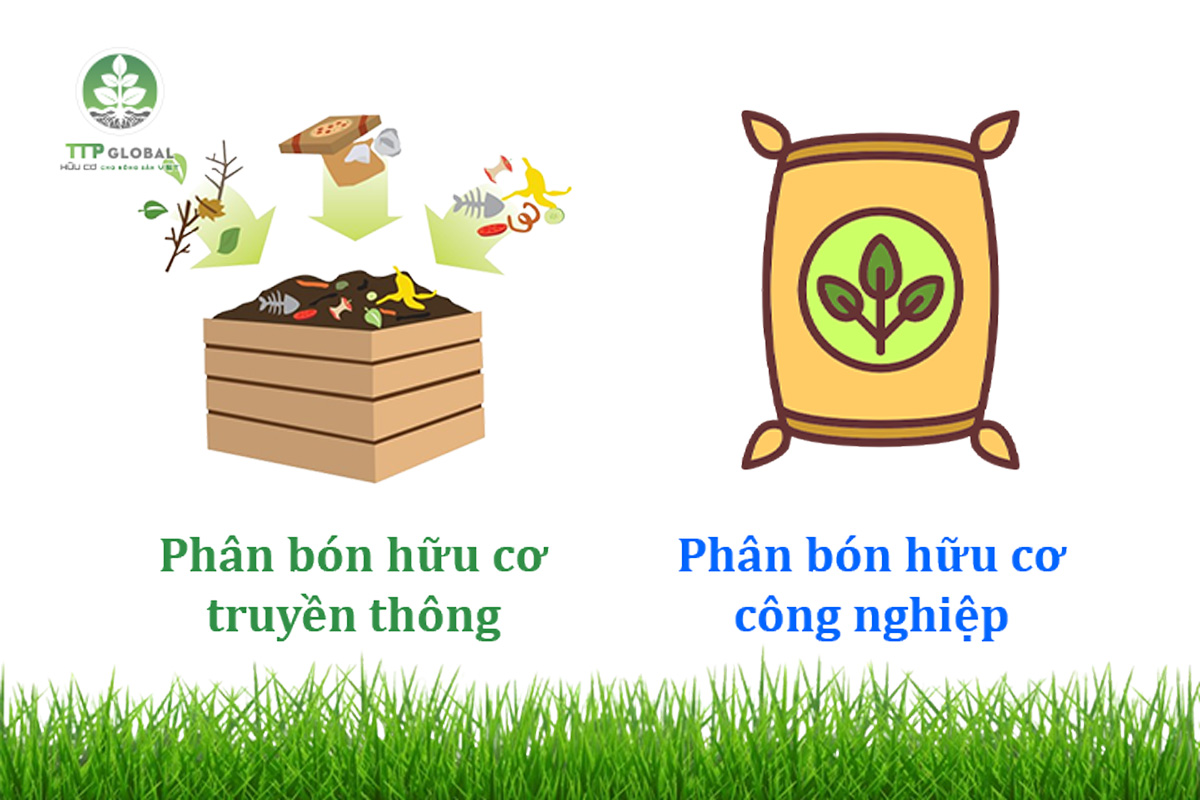 Phân biệt phân bón hữu cơ truyền thống và công nghiệp