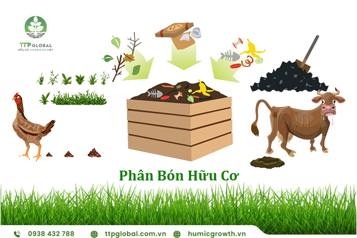 phân bón hữu cơ là gì