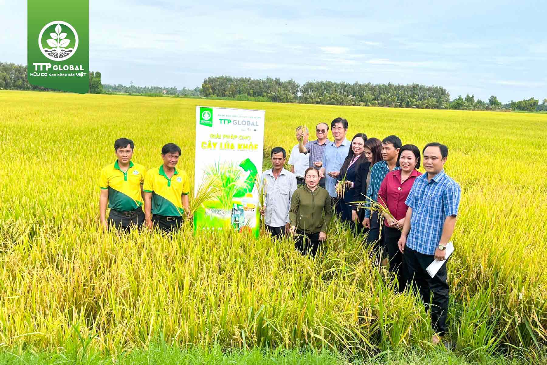 HỘI THẢO PHÂN BÓN HỮU CƠ HUMIC MỸ TRÊN LÚA 1