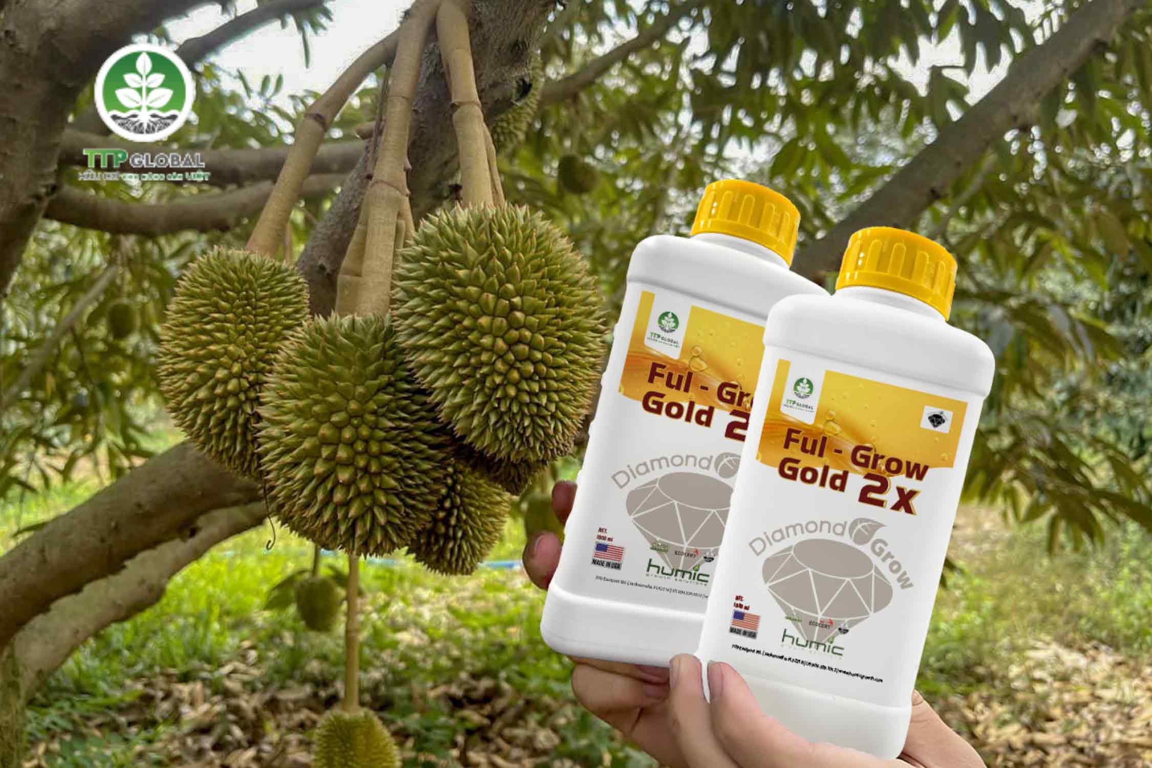 Nâng cao năng suất cây trồng với phân hữu cơ bón lá