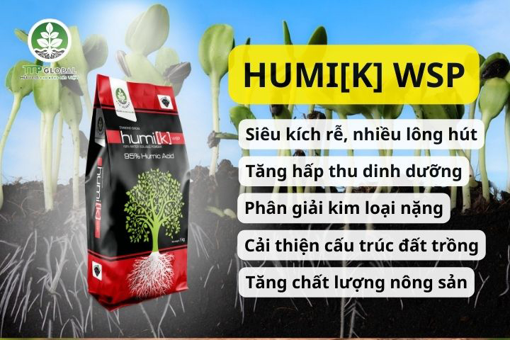 Cách sử dụng Humic Hoa Kỳ siêu kích rễ hiệu quả nhất