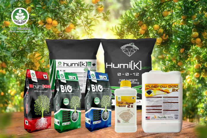 Sự khác biệt giữa phân hữu cơ humic Hoa Kỳ và phân bón khác