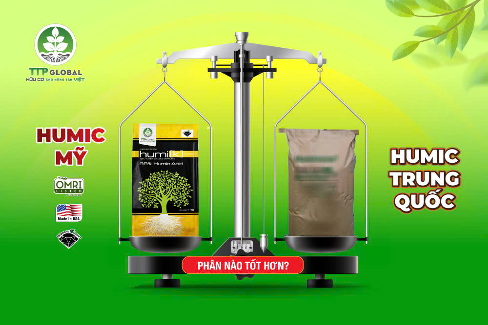 Humic Mỹ và humic Trung Quốc phân nào tốt hơn