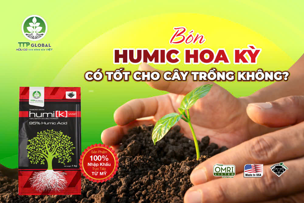 Bón Humic Hoa Kỳ có tốt cho cây trồng không
