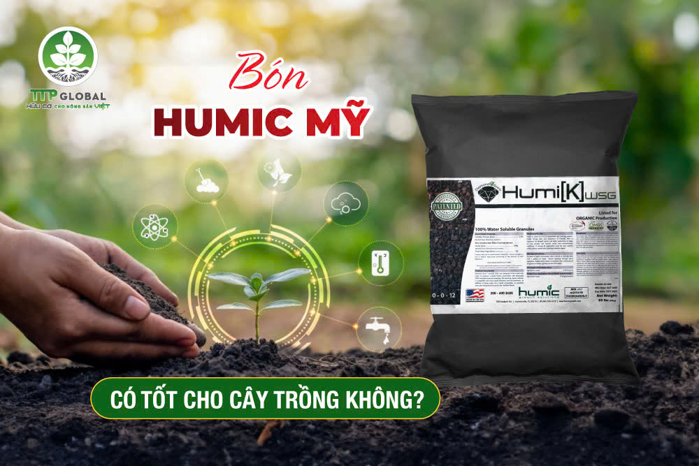 Bón Humic Mỹ có tốt cho cây trồng không