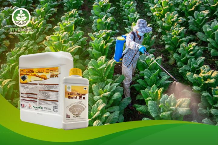 Bón phân bón lá sinh học có tốt cho cây trồng không