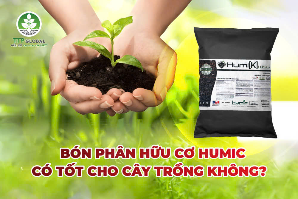 Bón phân hữu cơ humic có tốt cho cây trồng không