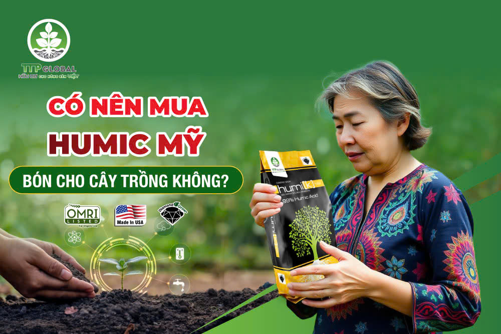 Có nên mua Humic Mỹ bón cho cây trồng không