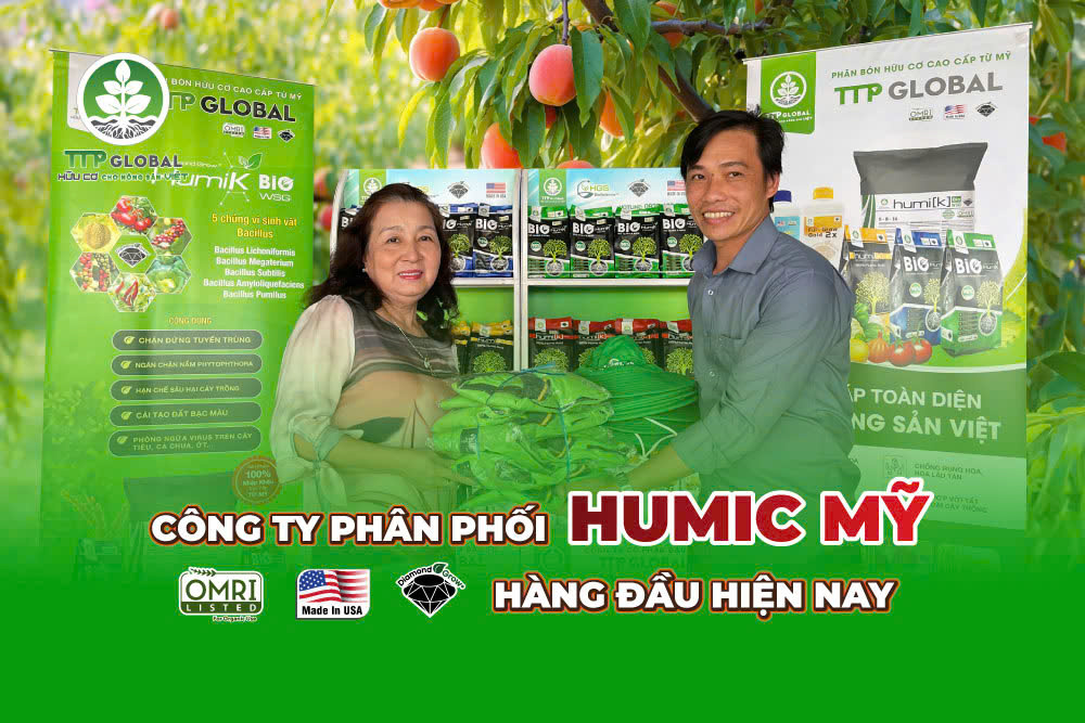 Công ty phân phối phân Humic Mỹ hàng đầu hiện nay