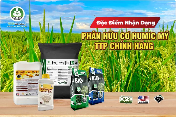 ĐẶC ĐIỂM NHẬN DẠNG PHÂN HUMIC MỸ TTP CHÍNH HÃNG