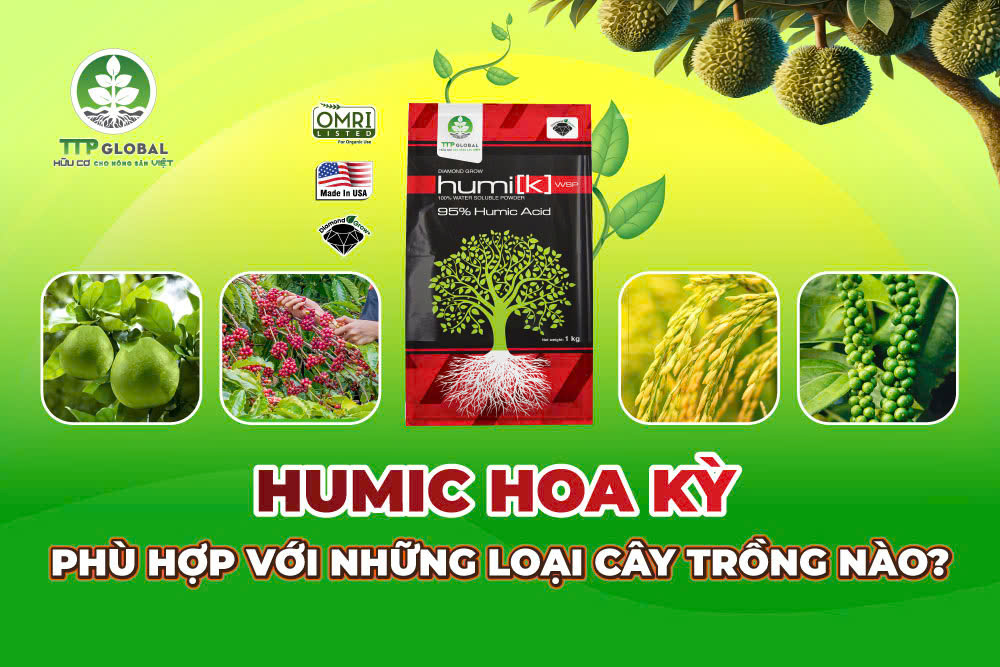 Humic Hoa Kỳ phù hợp với những loại cây trồng nào