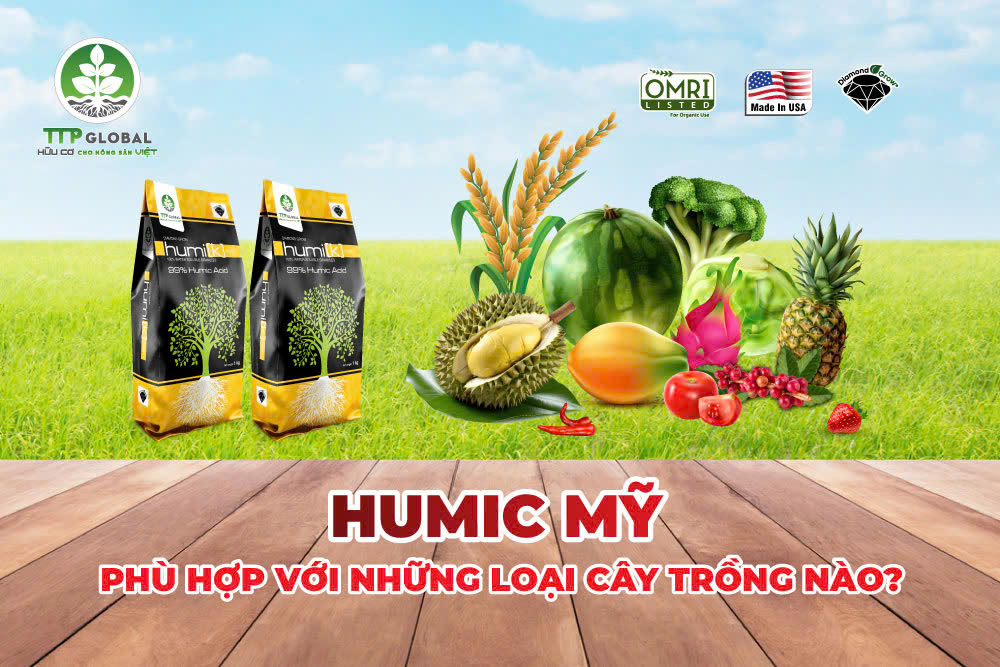 Humic Mỹ phù hợp với những loại cây trồng nào