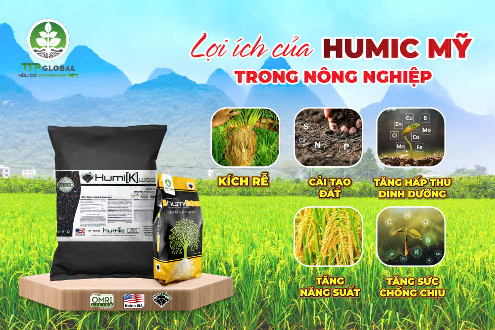 Lợi ích của Humic Mỹ trong nông nghiệp