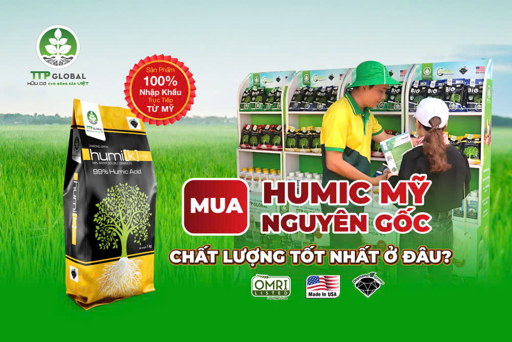 Mua Humic Mỹ nguyên gốc, chất lượng tốt nhất ở đâu