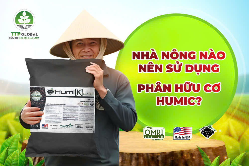 Nhà nông nào nên sử dụng phân hữu cơ humic