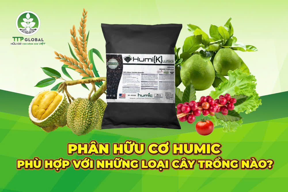 Phân hữu cơ humic phù hợp với những loại cây trồng nào