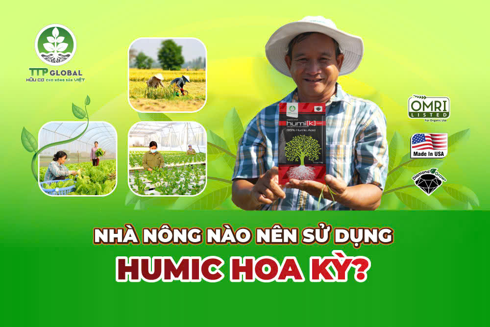 Tác dụng của Humic Hoa Kỳ trong canh tác nông nghiệp