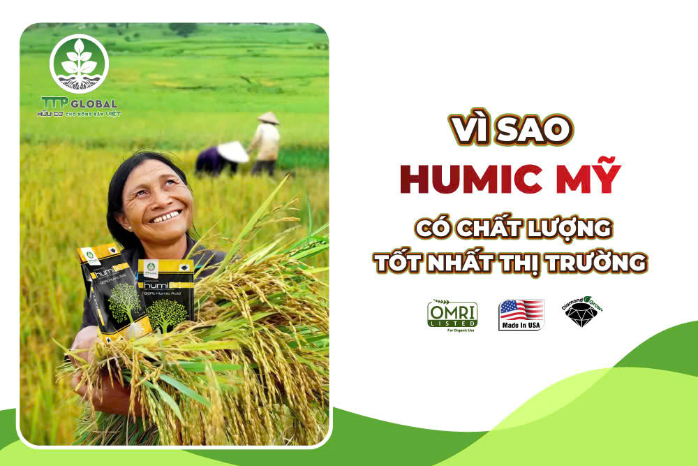 Vì sao Humic Mỹ có chất lượng tốt nhất thị trường