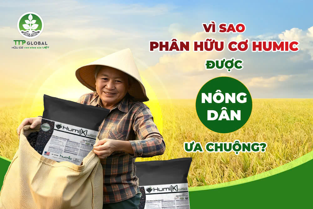 Vì sao phân hữu cơ humic được nông dân ưa chuộng