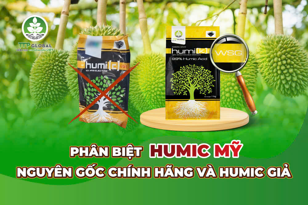 Phân biệt Humic Mỹ nguyên gốc chính hãng và humic giả