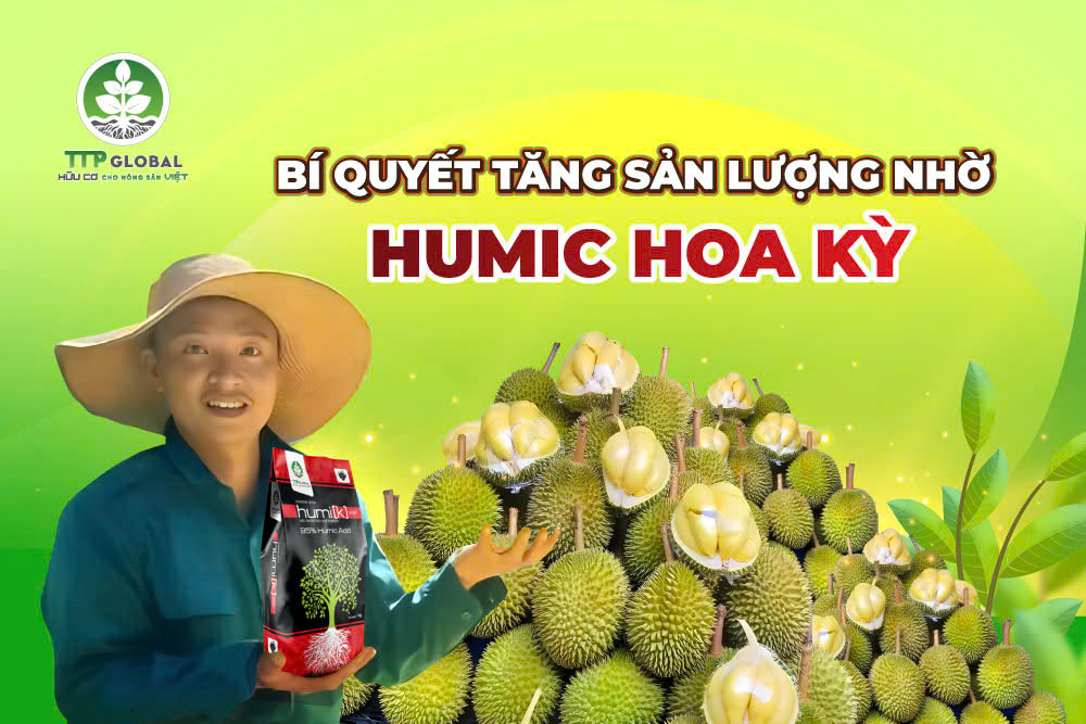 Bí quyết tăng sản lượng nhờ Humic Hoa Kỳ