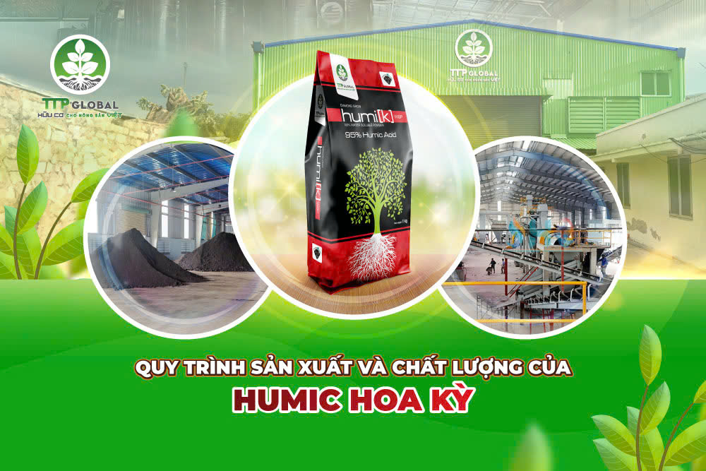 Quy trình sản xuất và chất lượng của Humic Hoa Kỳ