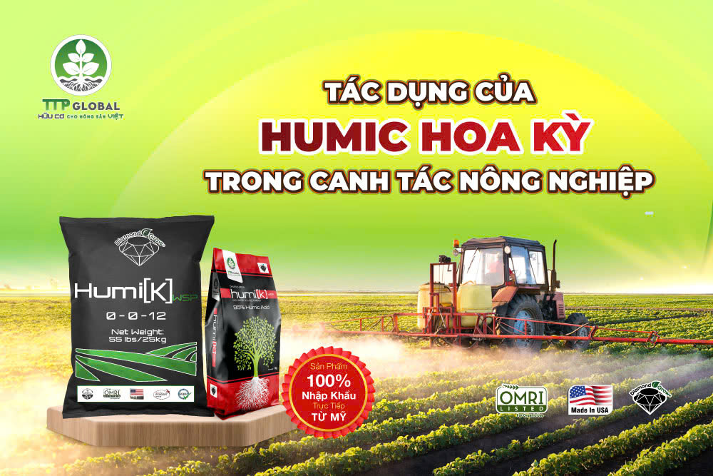 Tác dụng của Humic Hoa Kỳ trong canh tác nông nghiệp