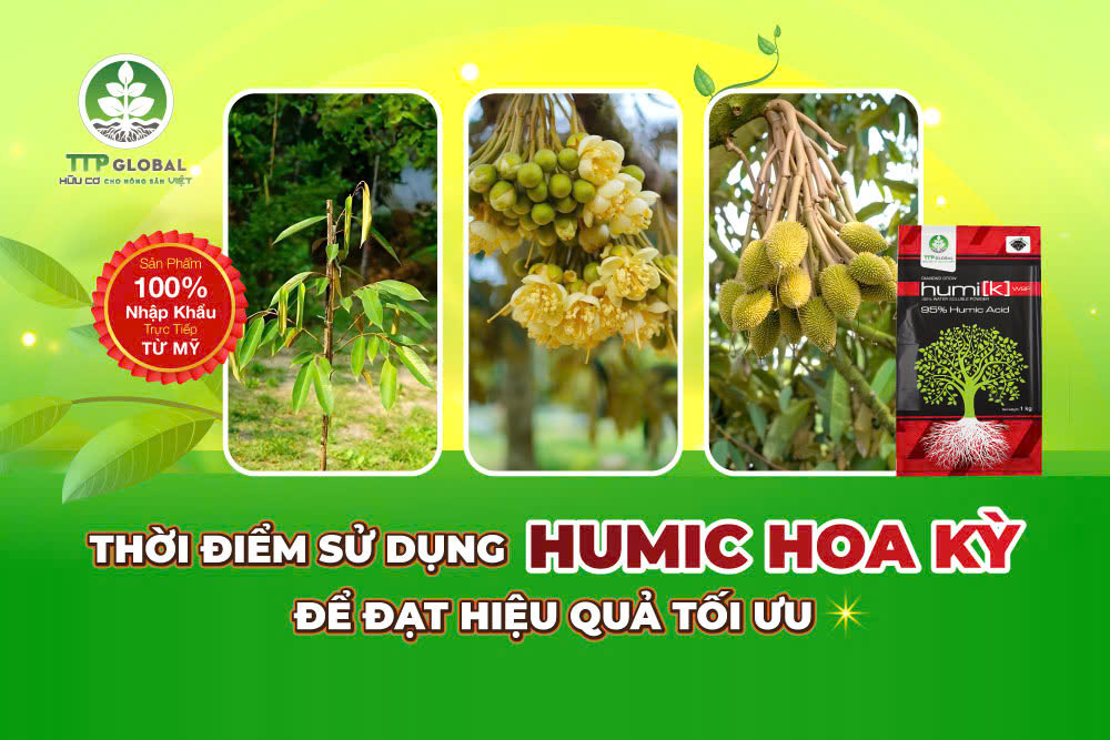 Thời điểm sử dụng Humic Hoa Kỳ để đạt hiệu quả tối ưu
