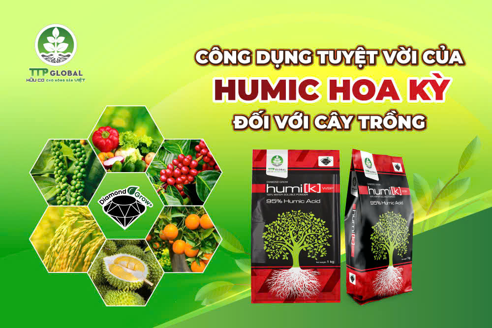 Công dụng tuyệt vời của Humic Hoa Kỳ đối với cây trồng