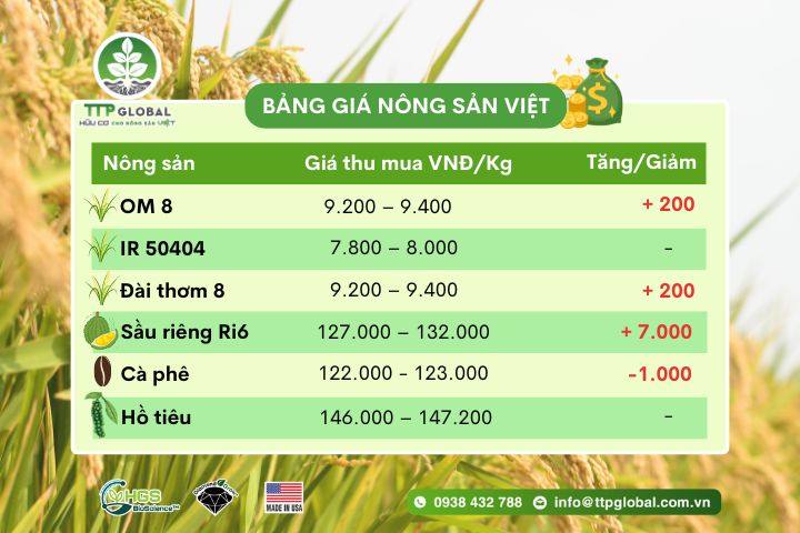 cập nhật giá nông sản hôm nay