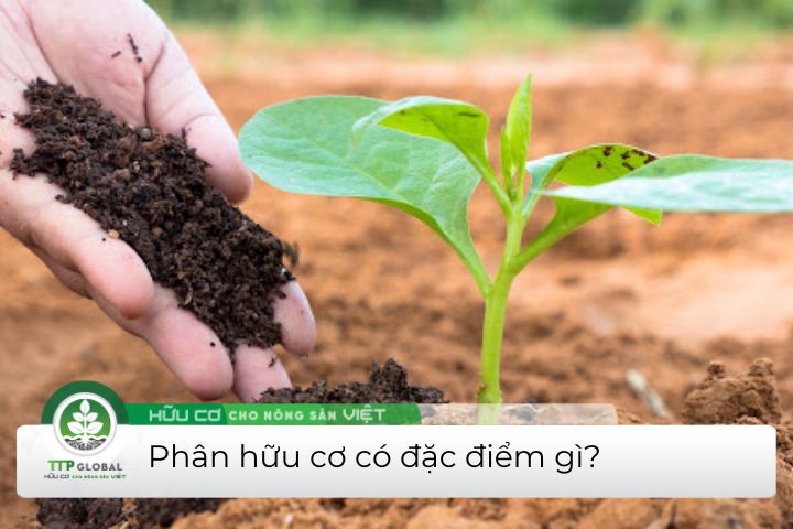 phân hữu cơ có đặc điểm