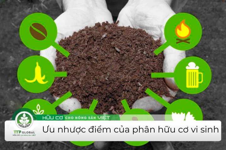ưu điểm của phân hữu cơ vi sinh