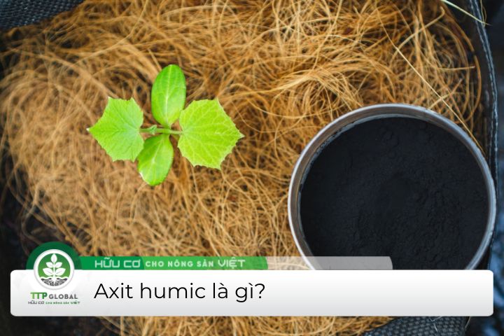 axit humic