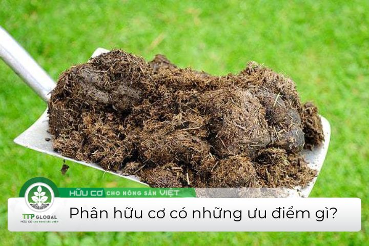 phân hữu cơ có những ưu điểm gì